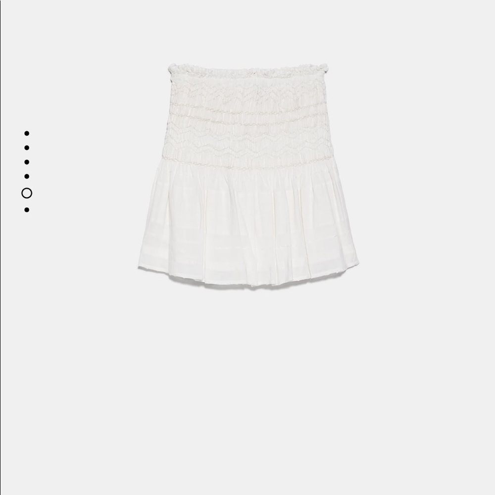 ZARA High Waisted Embroidered Skirt